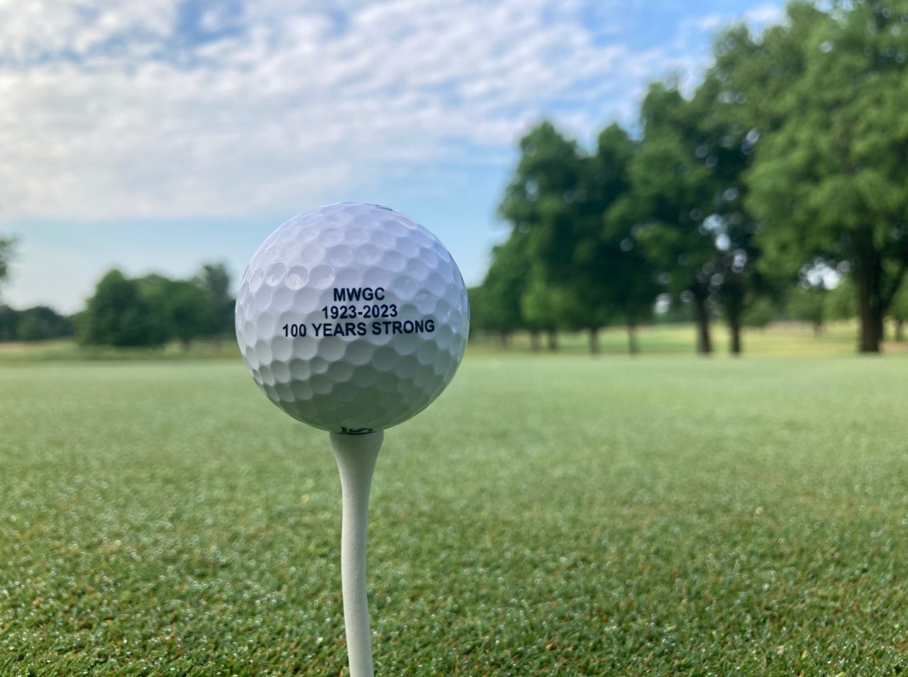 Village Greens of Woodridge